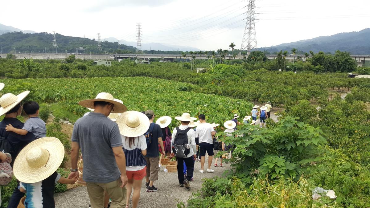 生活誌 山那村的尋 棗 之旅